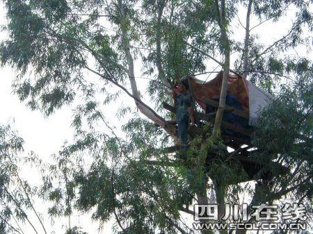 老人树居3月抗强拆被诉聚众扰乱交通秩序罪