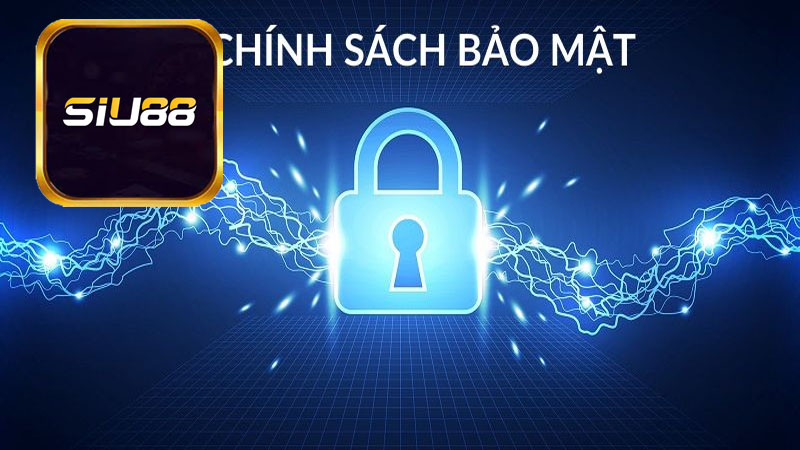 Chi tiết nội dung về chính sách bảo mật Siu88